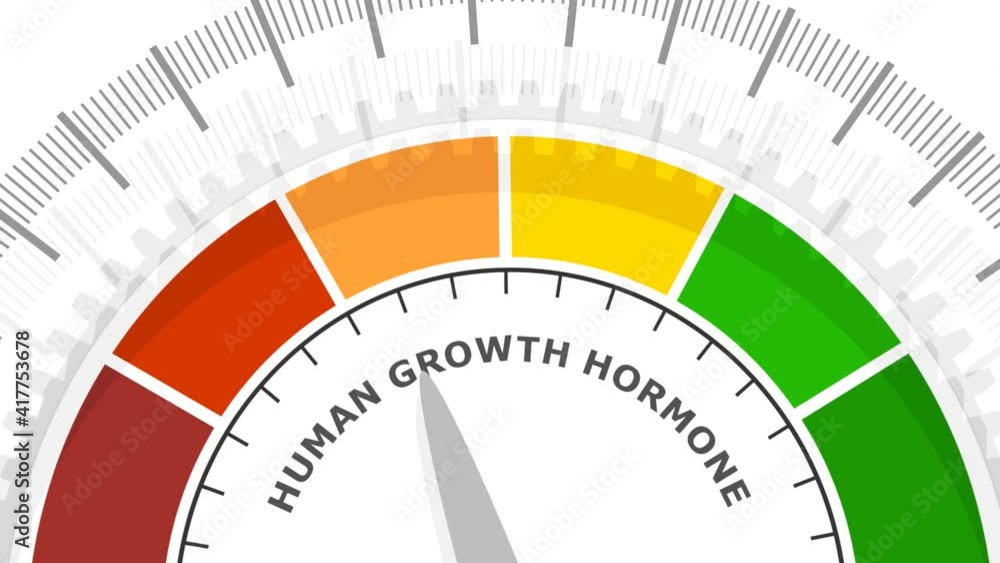 Gradient scale. Growth hormone level measuring device icon. Sign tachometer, speedometer, indicators. Infographic gauge element. 3D rendering. Gradient scale. Growth hormone level measuring device icon. Sign tachometer, speedometer, indicators. Infographic gauge element. 3D rendering.