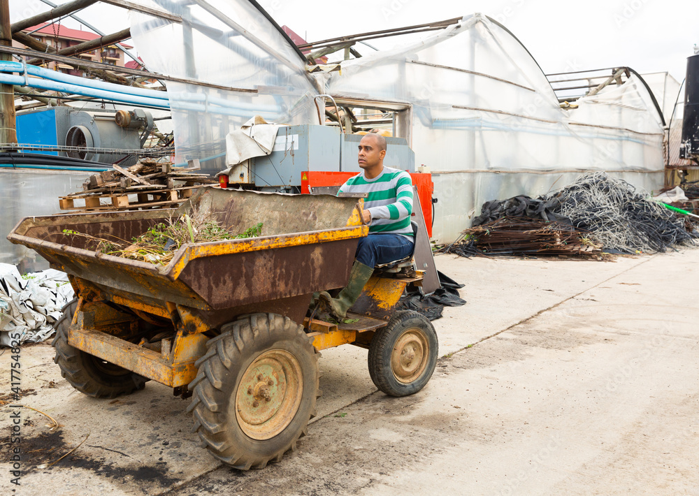 Obraz premium Latin american farmer a man working at the enterprise driving a mini dump truck, takes out to throw out weeds.