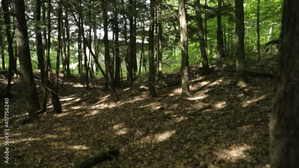 Waling through the woods at Le Belvédère events center in Wakefield, Quebec. Waling through the woods at Le Belvédère events center in Wakefield, Quebec.