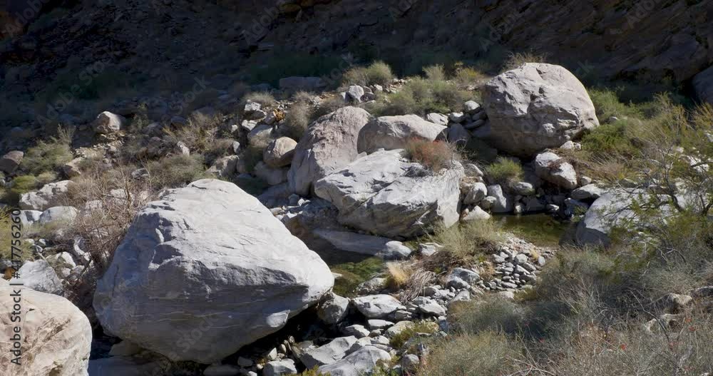 Overview Shot of Tahquitz Creek Overview Shot of Tahquitz Creek