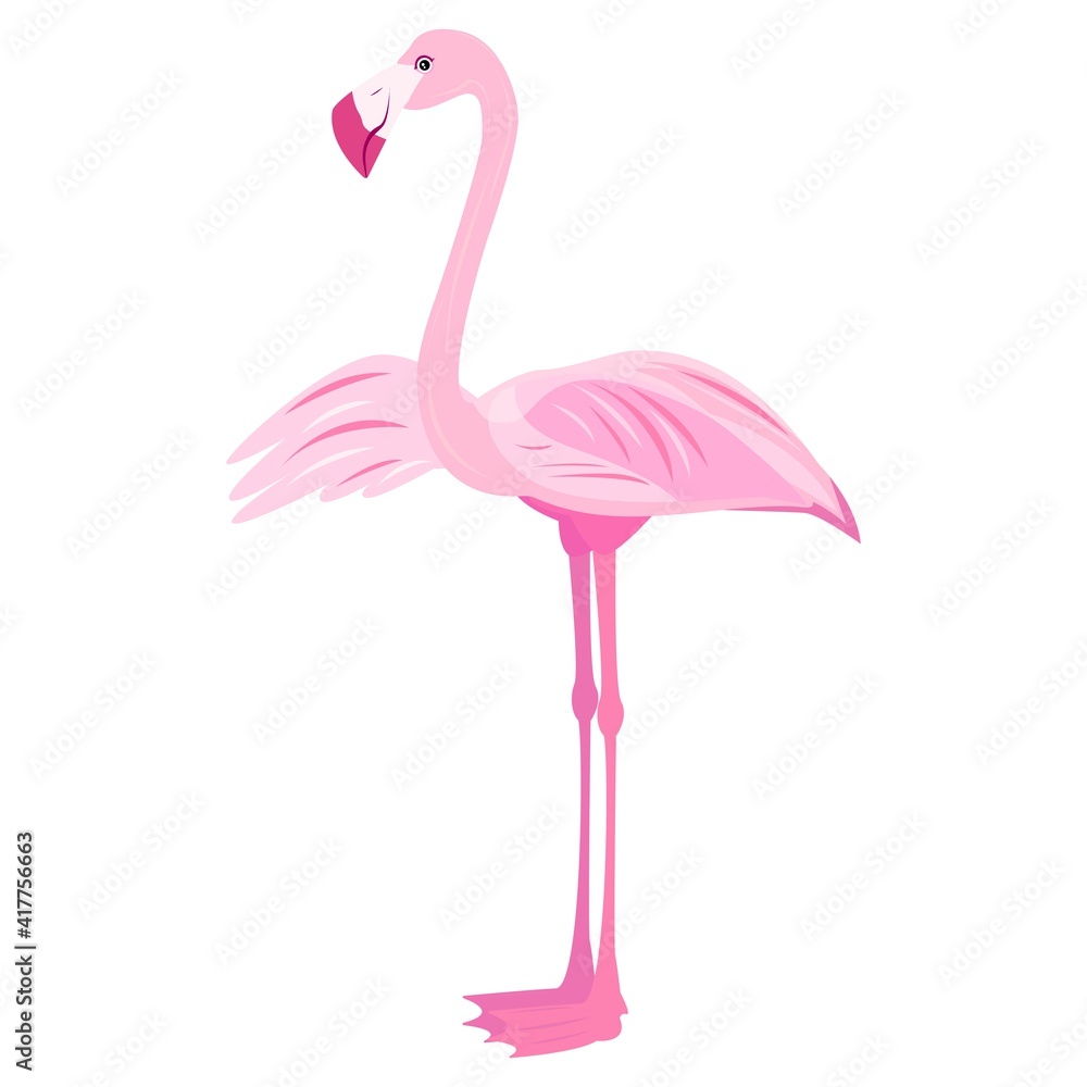 Fototapeta premium pink girl flamingo. tropical bird. bird of paradise. stock vector illustration with flamingos on a white background.