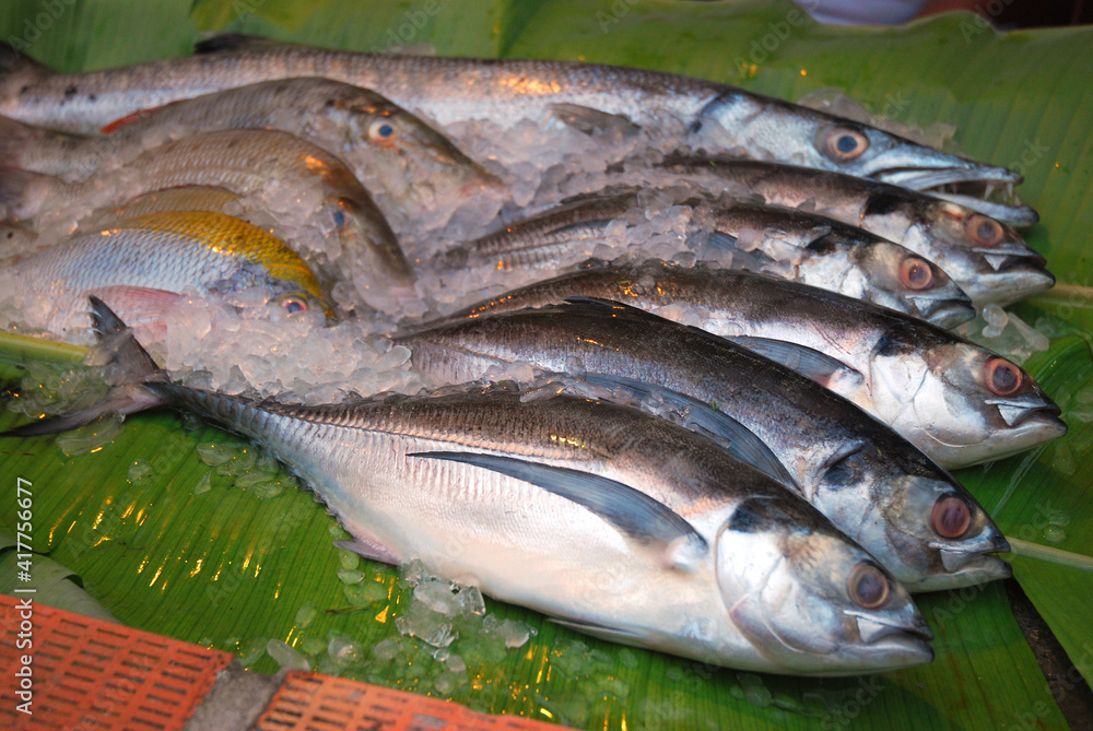 Fresh mackerel fish in market , Sea fish mackerel pile top view. Fresh mackerel fish in market , Sea fish mackerel pile top view.