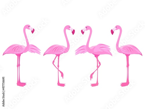 pink flamingos. set with flamingos. exotic birds. stock vector illustration with birds of paradise.