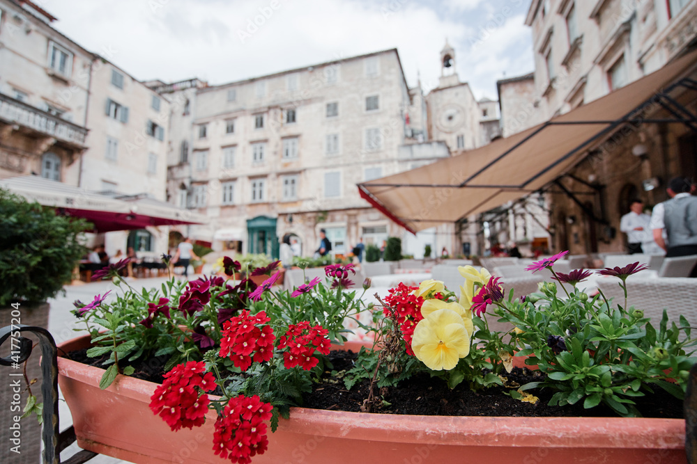 Pot with flowers on the street of old europian town. Pot with flowers on the street of old europian town.