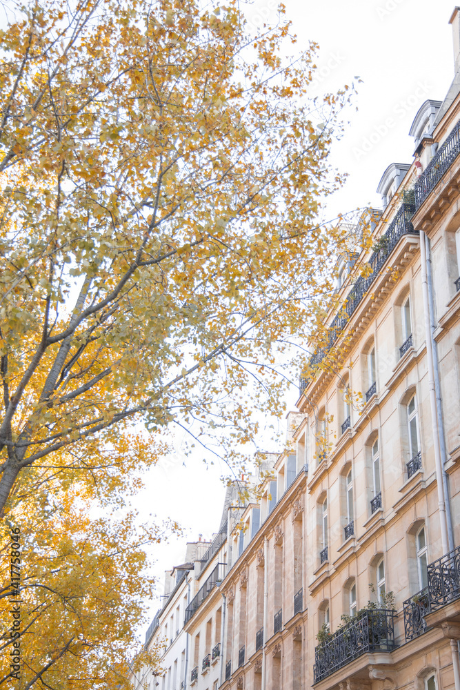 Fototapeta premium Autumn Haussmann Building Paris France