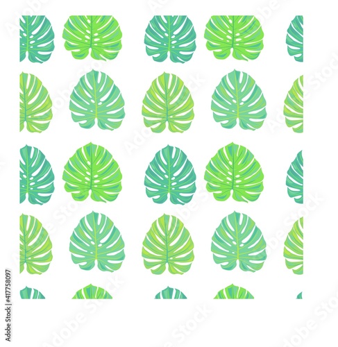 smooth seamless pattern with tropical leaves. monstera leaves. exotic leaves. stock vector illustration on a white background.