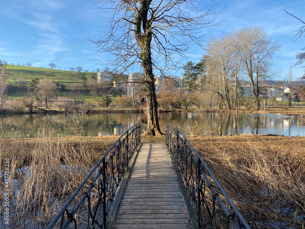 A small pedestrian bridge next to Au Castle with the surrounding park ...