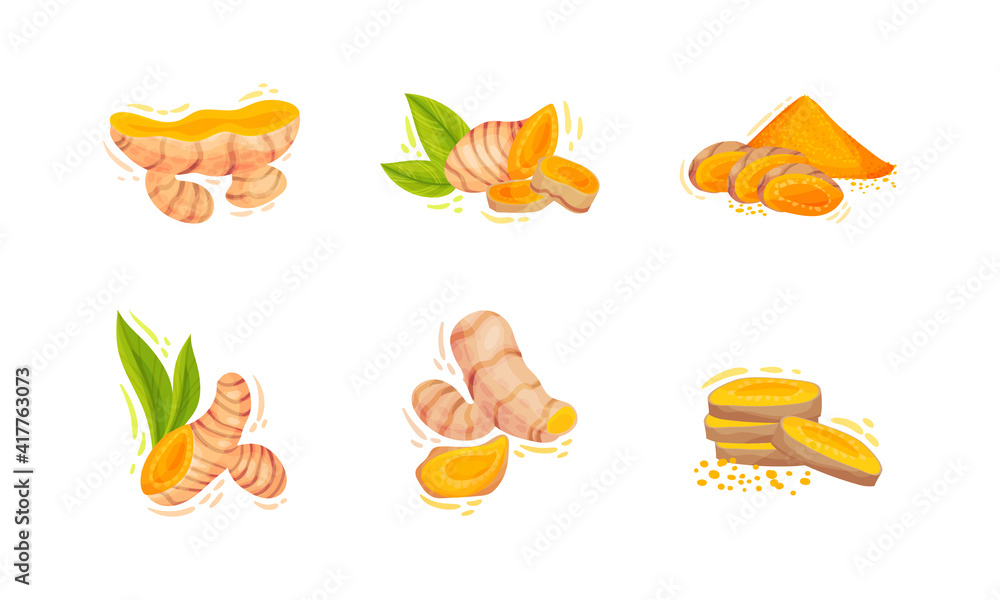 Turmeric Plant with Root and Powder Pile Vector Set Stock Vector