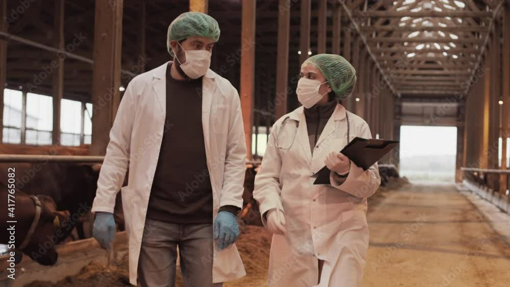 Tracking medium long of Caucasian doctor and female Mixed-race colleague wearing medical gowns, protective hats, masks, walking in barn, talking, woman holding clipboard Tracking medium long of Caucasian doctor and female Mixed-race colleague wearing medical gowns, protective hats, masks, walking in barn, talking, woman holding clipboard