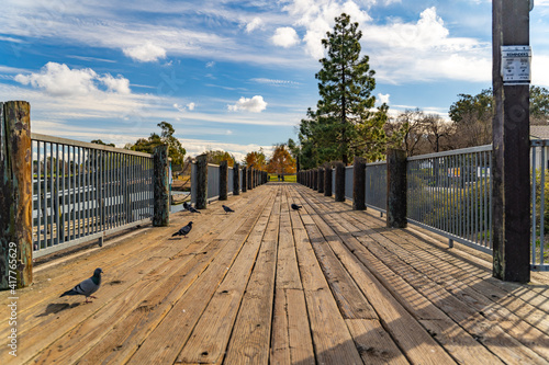 Fototapeta Naklejka Na Ścianę i Meble -  View of the wooden bridge in Central Park in Fremont