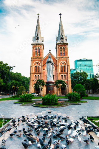Beautiful Notre Dame Cathedral Basilica of Saigon and pigeon 