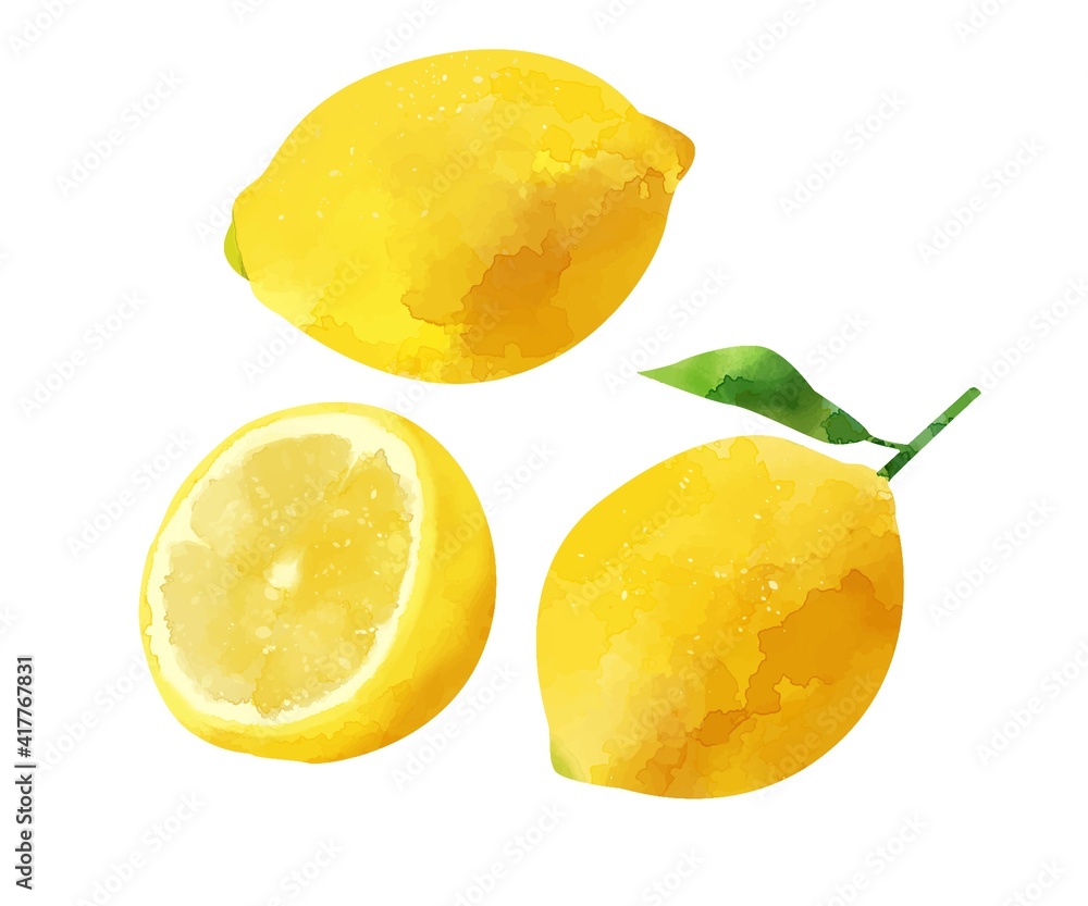 水彩風 檸檬 レモンのイラスト素材 Stock Illustration Adobe Stock
