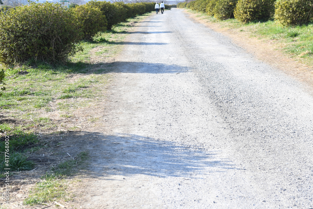 Obraz premium 砂利道