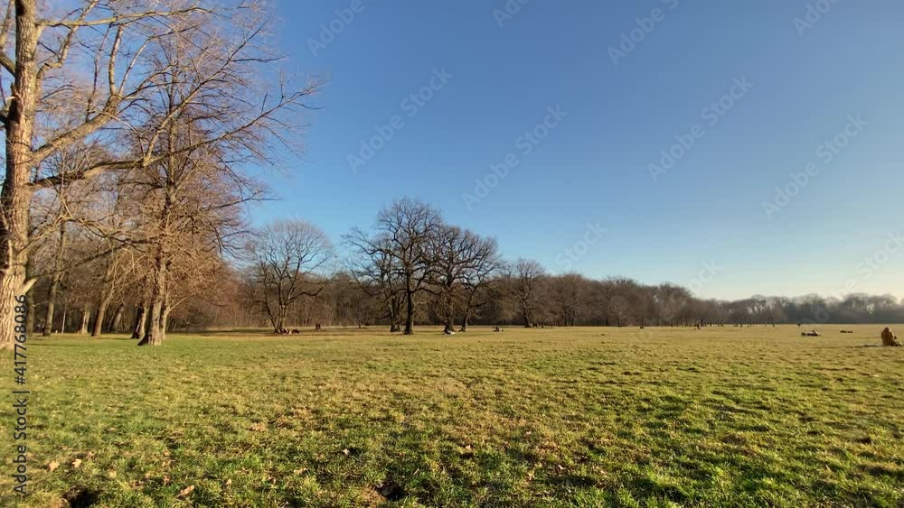 Spaziergang im Park im Frühjahr bei strahlendem Sonnenschein Spaziergang im Park im Frühjahr bei strahlendem Sonnenschein