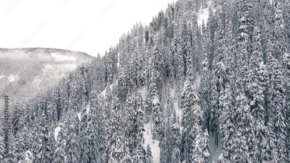 Pristine Mountain Forest Aerial View After Heavy Winter Snowfall Pristine Mountain Forest Aerial View After Heavy Winter Snowfall