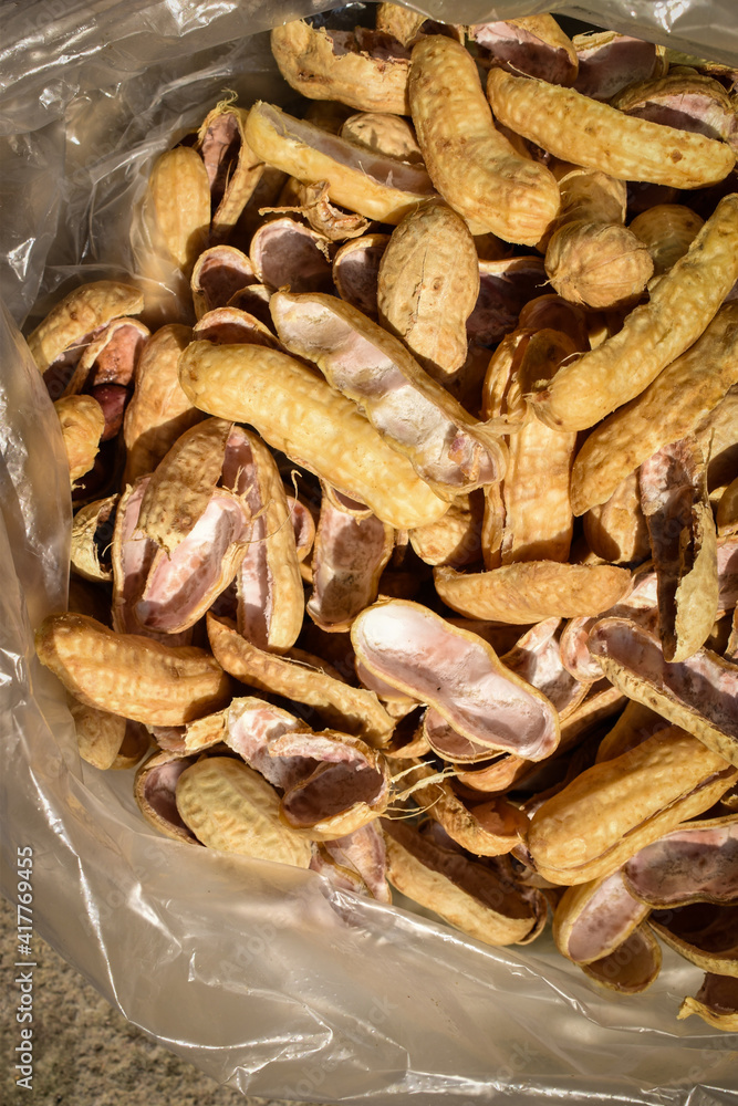 closeup of boiled peanuts shell closeup of boiled peanuts shell