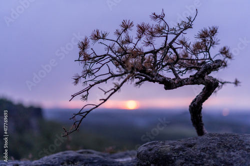 Saxony Switzerland View