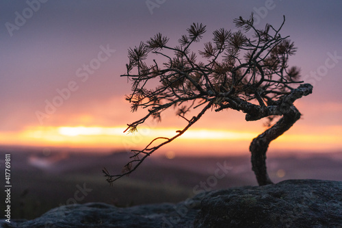 Saxony Switzerland View