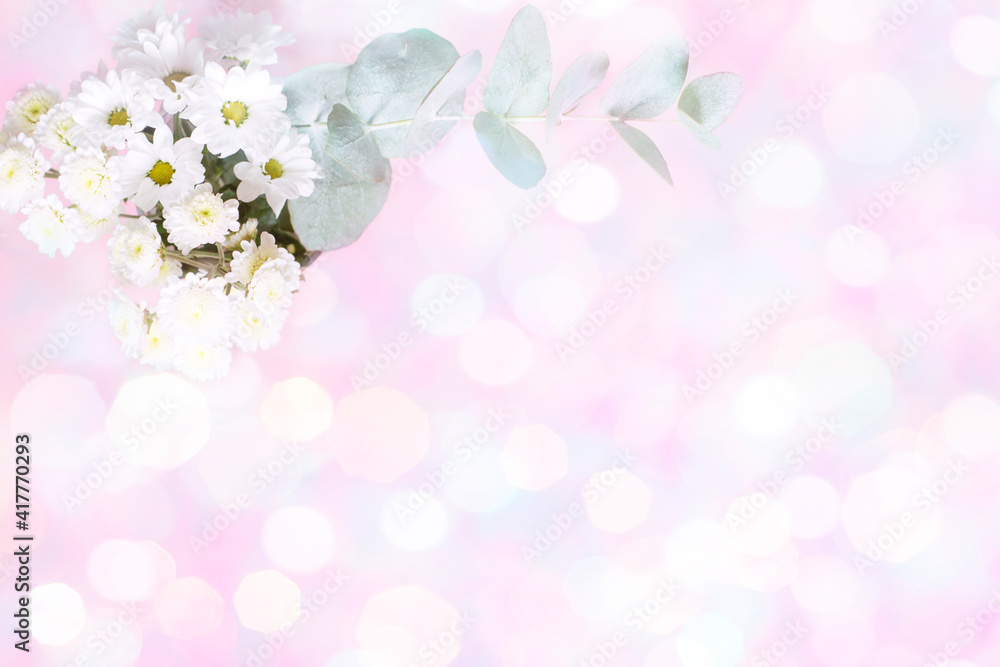 White chrysanthemums on a background with bokeh and haze. Floral delicate background. White chrysanthemums on a background with bokeh and haze. Floral delicate background.
