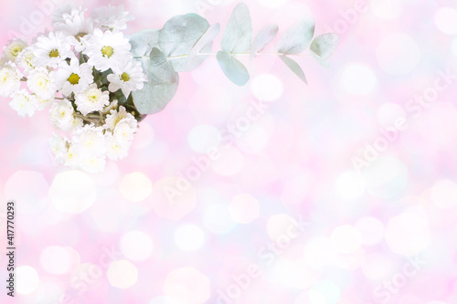 White chrysanthemums on a background with bokeh and haze. Floral delicate background.