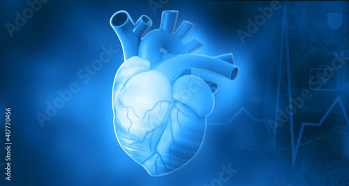 Foto Human heart anatomy on blue background. 3d illustration..
