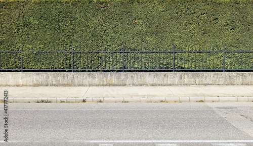 House fence consisting of a high hedge, a black metal railing and a low concrete wall. Cement sidewalk and asphalt street in front. Background for copy space photo