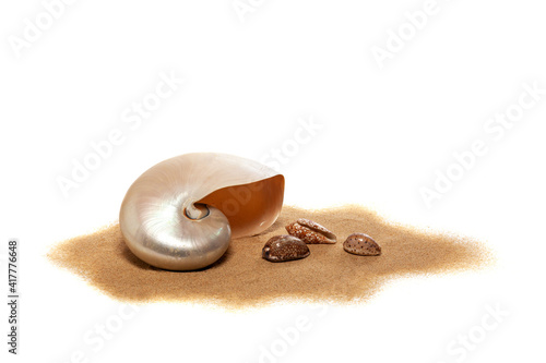 Nautile et coquillages posés sur du sable isolé sur fond blanc