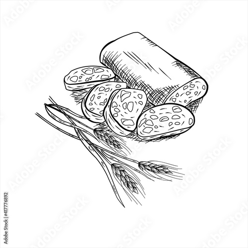 Sketch of Italian ciabatta with wheat ears drawn in vintage style