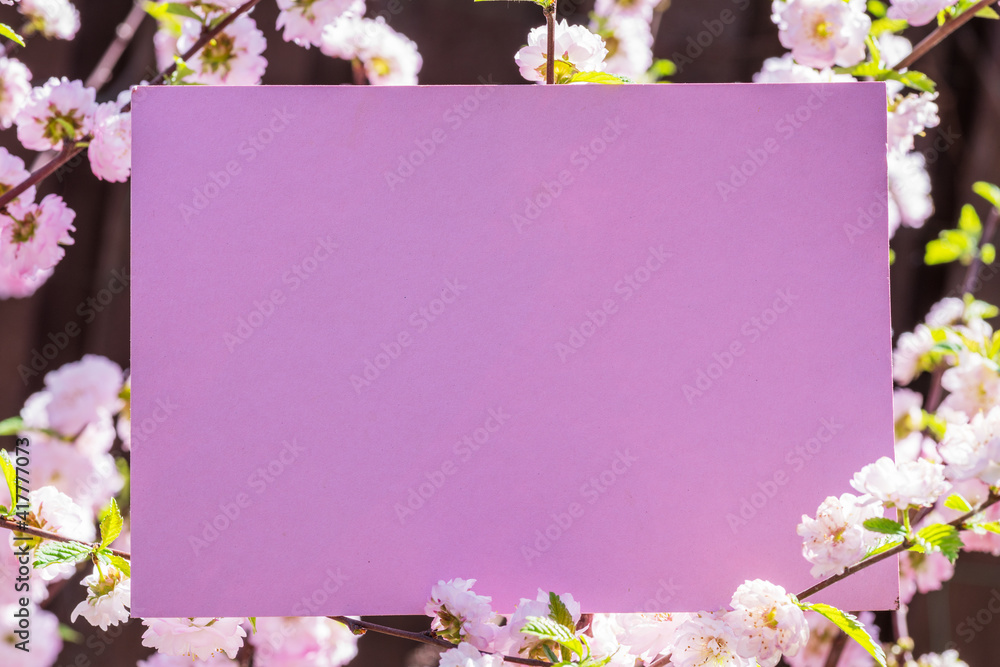Pink paper blank between flowering almond branches in blossom. Pink flowers as a frame. Pink paper blank between flowering almond branches in blossom. Pink flowers as a frame.