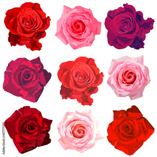 Set of nine roses in various colors