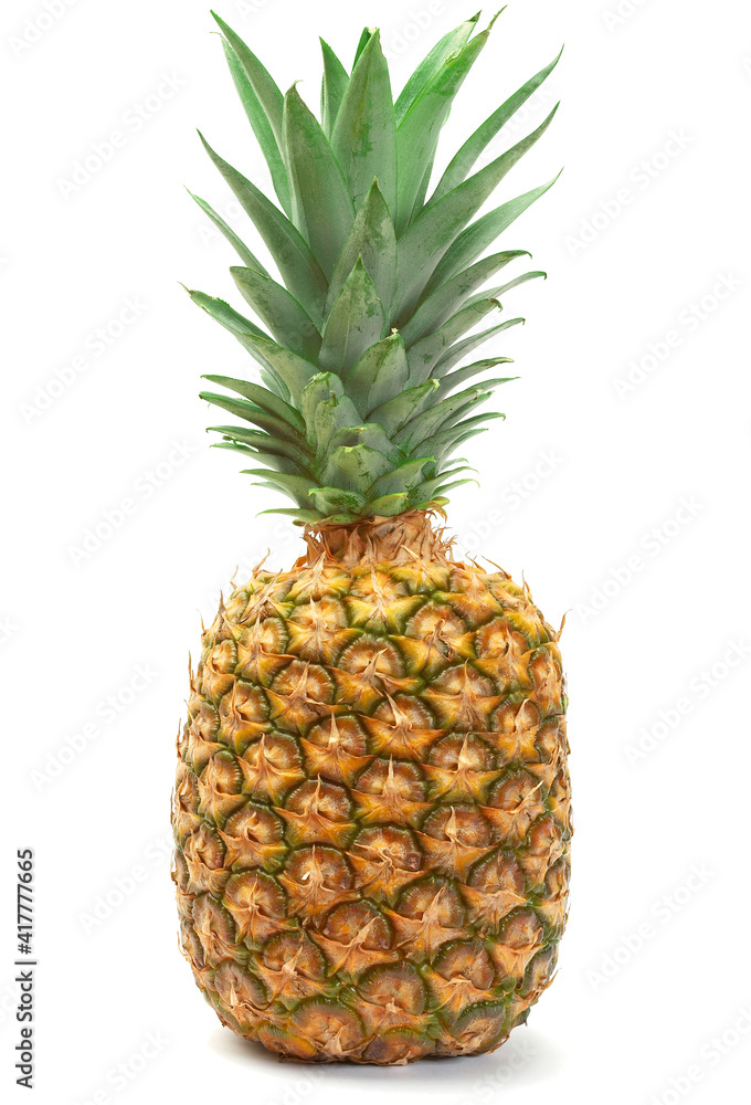 Close-up Pineapple isolated on the white background. Close-up Pineapple isolated on the white background.