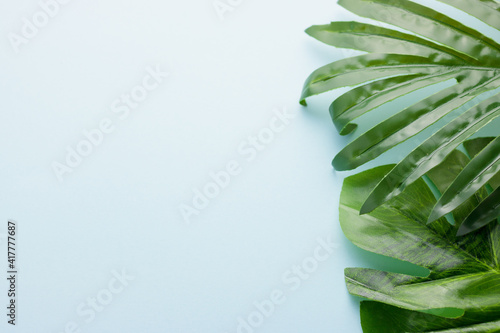 Green tropical leaves palm on a white background with copy space. Minimal summer background concept. Flat lay and close-up photo.