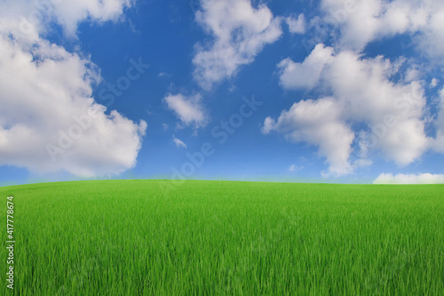 Green meadows with blue sky and clouds background. © Rungsan