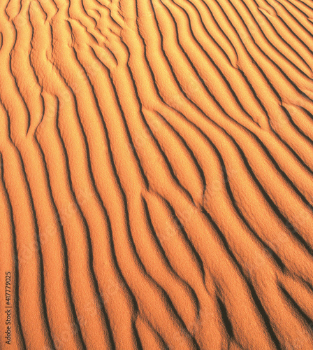Natural pattern in sand dunes.