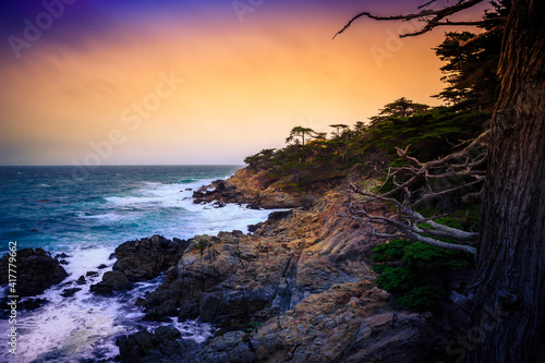 The Lone Cypress at Sunset, from the 17 Mile Drive, in Pebble Beach, California photo