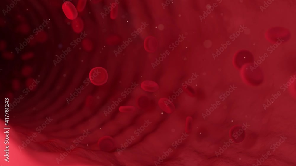 Red blood cells