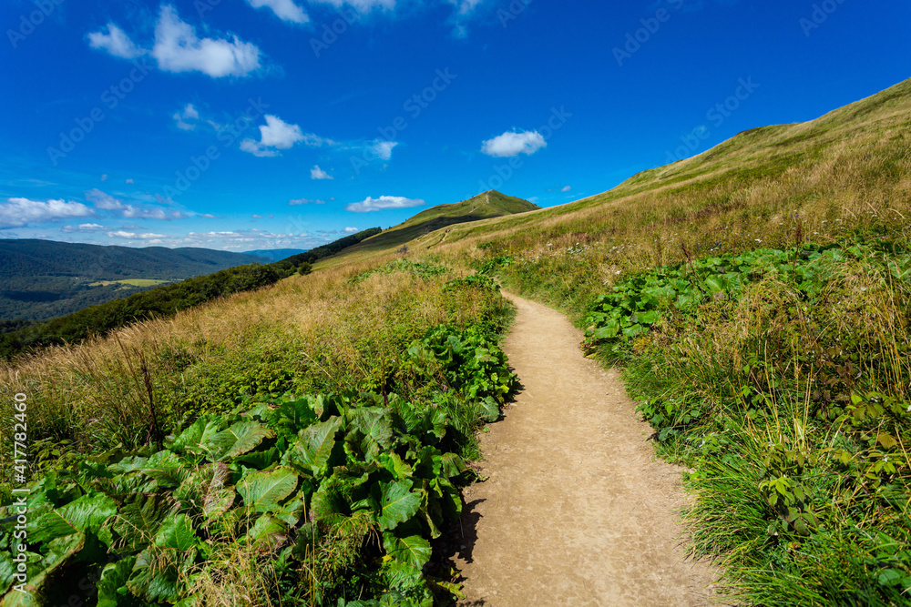 Fototapeta premium Polonina Carynska path in Bieszczady