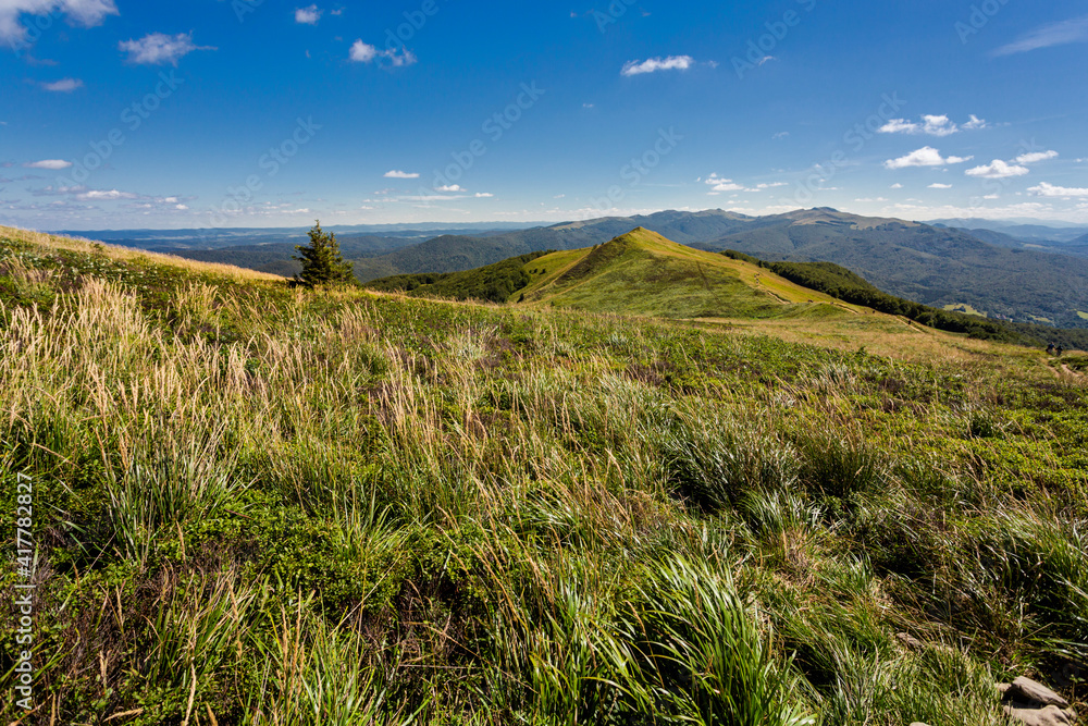 Polonina Carynska path in Bieszczady Polonina Carynska path in Bieszczady