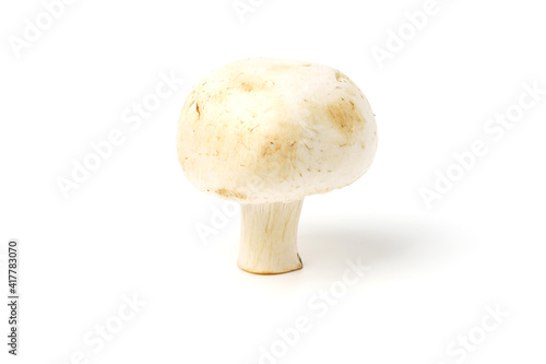 White mushroom - champignon isolated on white