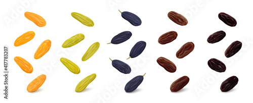 Jumbo golden, green Kashmari, blue, brown Thompson and black Flame raisins hang in the air isolated on white background. Realistic vector illustration. © Murina Natalia