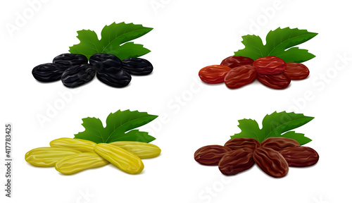 Heaps of raisins with leaf isolated on white background. Collection of different types of dry grapes (small black Zante currant, green Kashmari, brown Thompson and red Afghan). Realistic vector illust