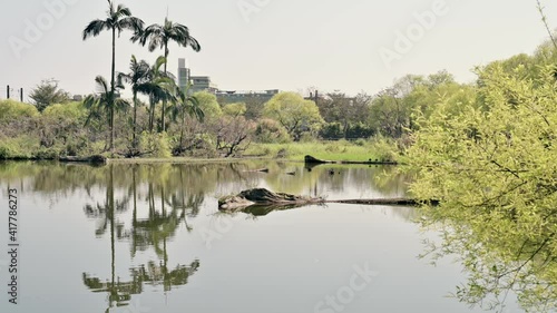 Beautiful lakescape on a sunny day with the sunlight and breeze. photo