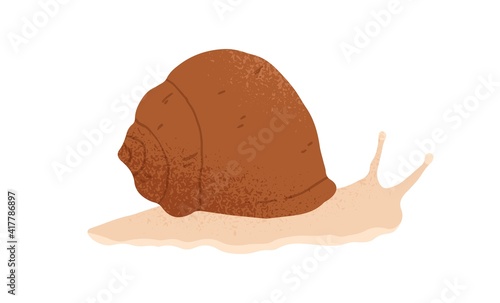 Slow and slimy snail with spiral shell crawling. Hand-drawn slug animal or snailfish. Colored flat textured vector illustration isolated on white background photo