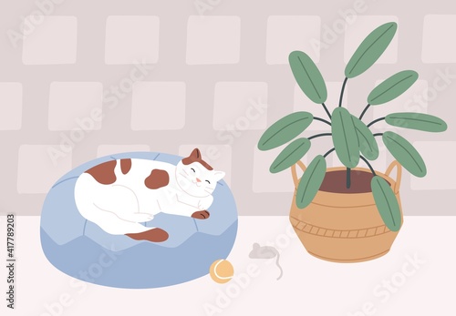 Relaxed cat sleeping in its bed in cozy room with plant. Cute sleepy pet lying on cushion at home. Colored flat vector illustration of kitty dreaming on pillow