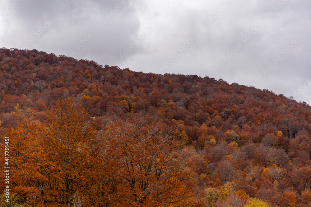 Fototapeta premium autumn in the mountains