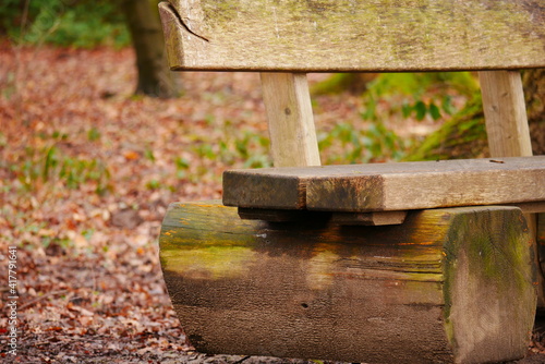 close up of a wooden bench in the forest