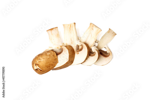 slice of brown champignon isolated on white