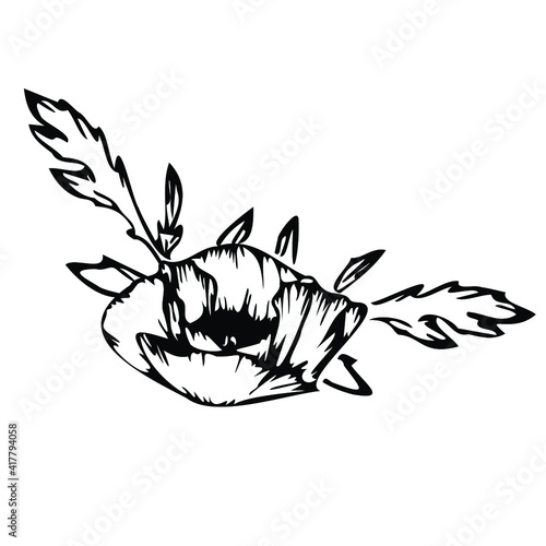 flower  illustration  nature  abstract  design  tattoo  leaf  animal  art  black  symbol  plant  crab  white  isolated  floral  silhouette  logo  green  lotus  drawing  tribal  decoration  heart  cart