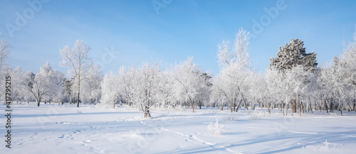Beautiful winter landscape with snow-covered trees. Blue sky and textured snow. Winter's tale. © Prikhodko