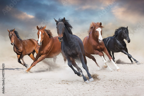 Fototapeta Naklejka Na Ścianę i Meble -  Horses free run on desert storm against sunset sky